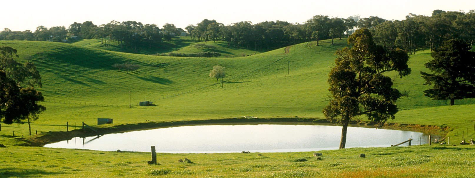 How to Detect a Water Leak in an Earth-based Dam or Pond 