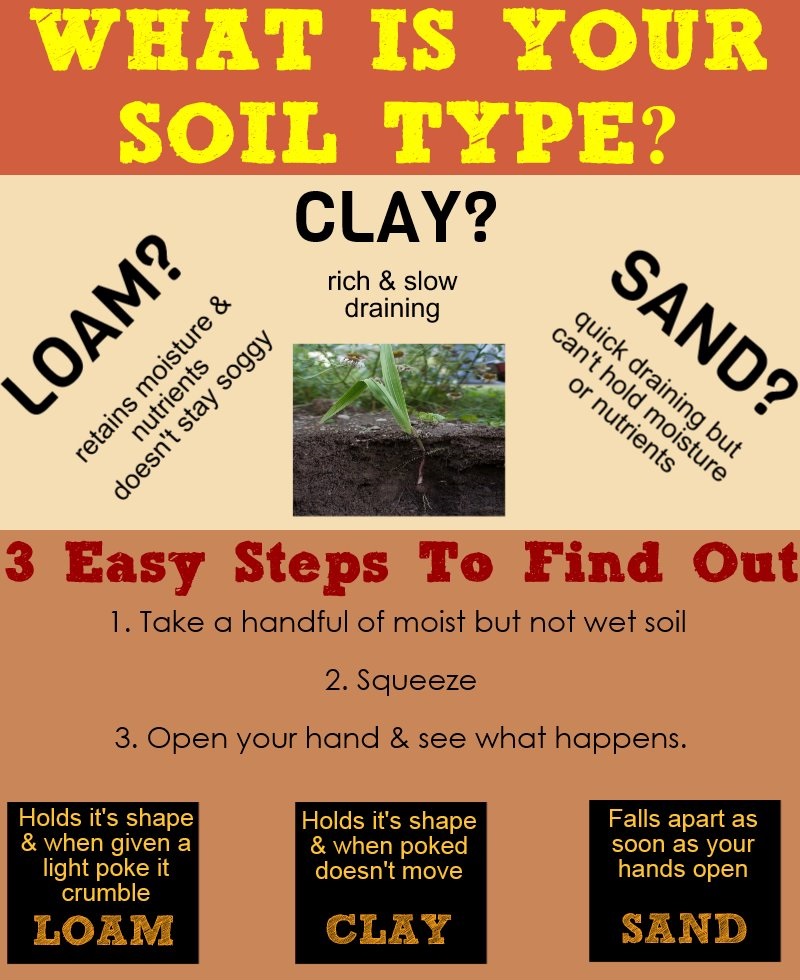 What Is your Soil Type?