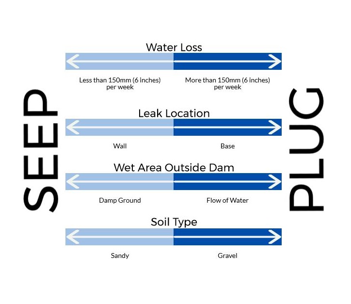 Dam Sealer – Plug or Seep?